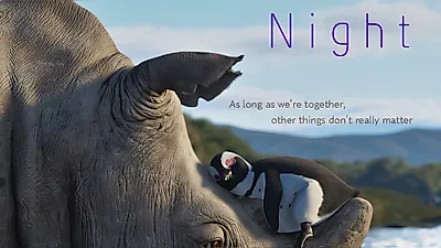 アニメーション『長い長い夜』がトロント国際映画祭で好評…スジがナレーションとOSTに参加
