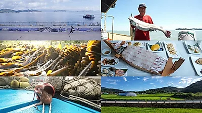Viajes por Corea, en busca de los tesoros de la vida... desde la perca del mar en verano hasta un…