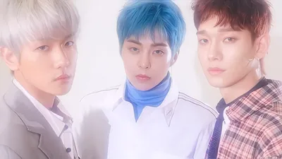 法院决定暂停 EXO CHEN、BAEKHYUN、XIUMIN 与 INB100 的专属合约效力