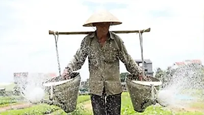 From Dawn Markets to Glass Bottle Houses… EBS Captures the Daily Life of Vietnam