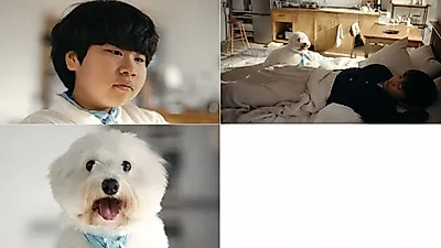 Lim Young-woong releases teaser for special album title track 'Totto'... to be released on September 8